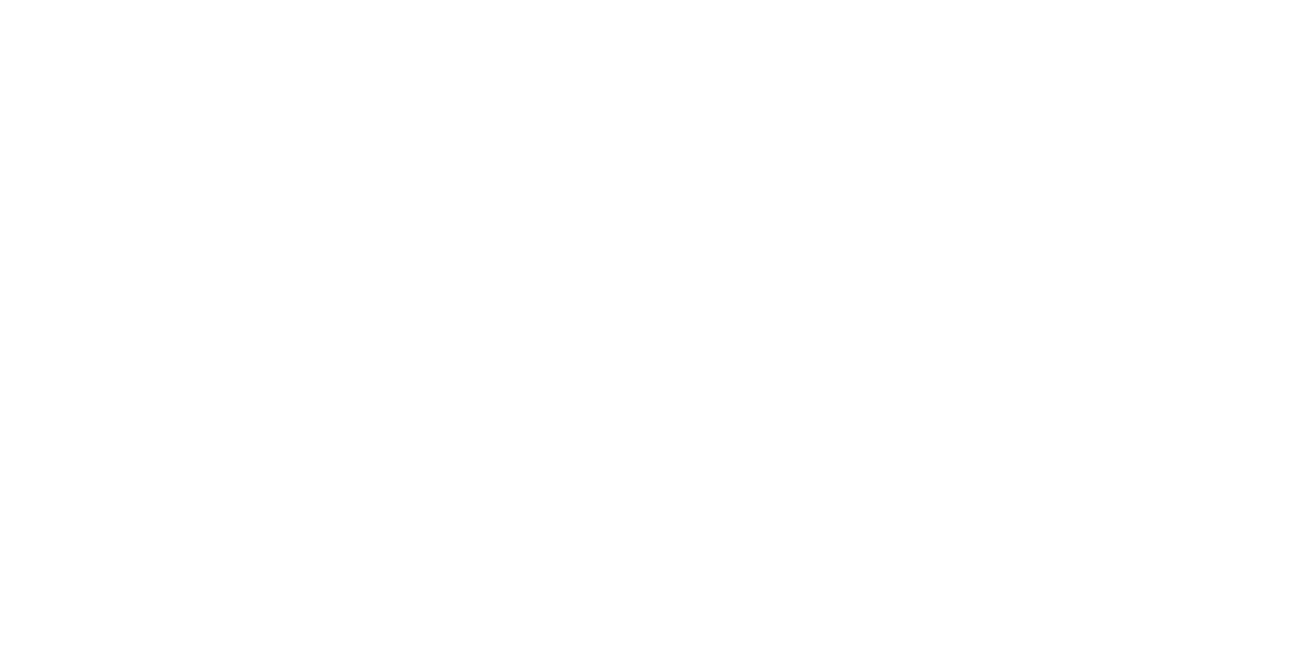 Leadership Philosophy Blueprint